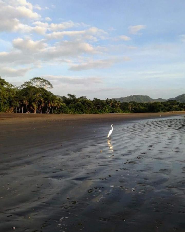 Villas Guanacaste Потреро Екстер'єр фото